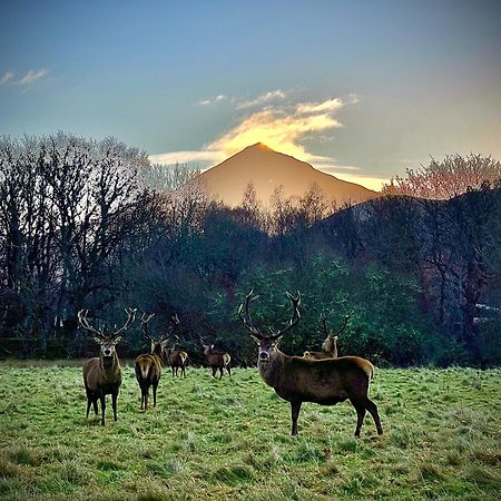 הוילה קינלוך ראנוך Loch Rannoch Highland Club מראה חיצוני תמונה